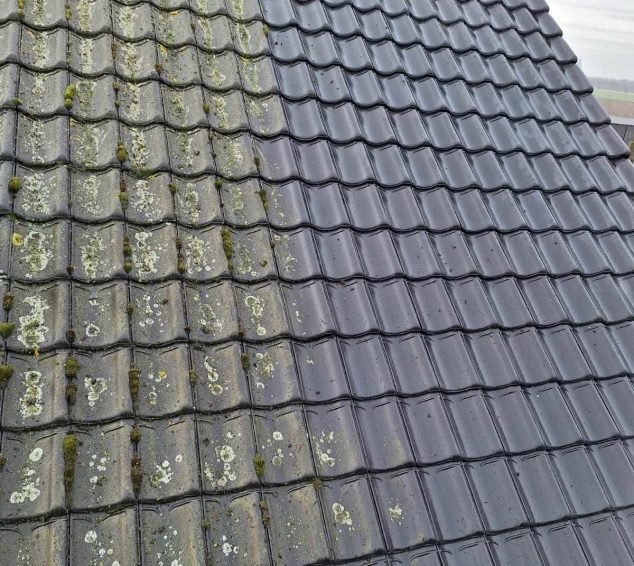 Dak schoonmaken