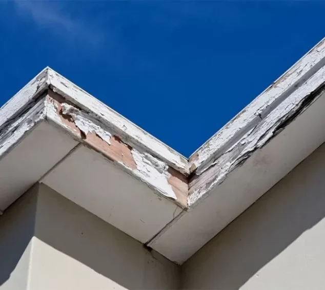 dakboeidelen-vervangen