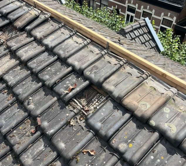 lekkage-reparatie-schiedam