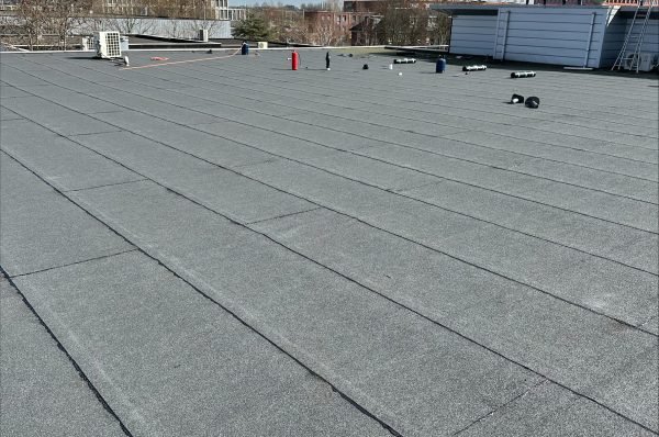 processed-97DBDD2C-526E-40A6-B677-8DB21014E04C