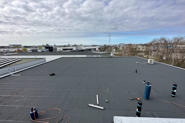 processed-A0C3B48F-7728-4200-9280-5DE1FB28A7B9